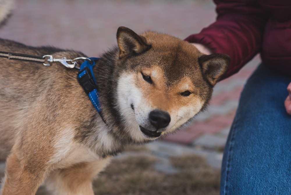 shikoku